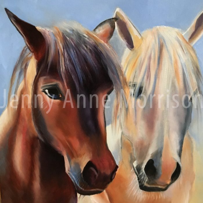 Horse Portraits